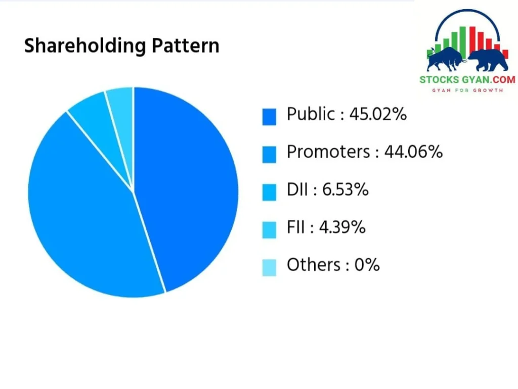 Share holding pattern